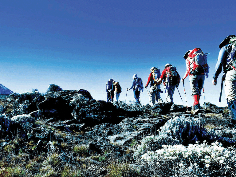 COMFORT-KILIMANJARO-TREKKING