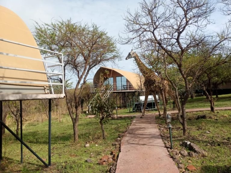 ngorongoro-safari-lodge1