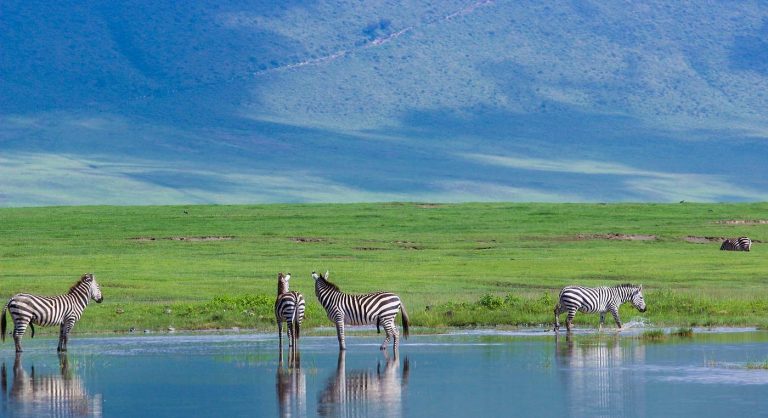 ngorongoro crater