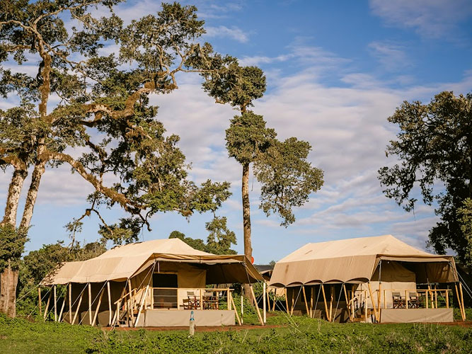 ANG'ATA NGORONGORO 1