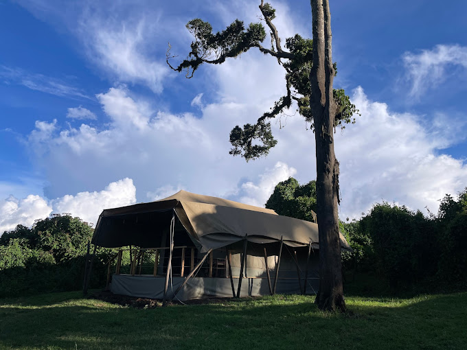 ANG'ATA NGORONGORO 3