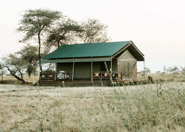 SERENGETI HERITAGE CAMP9