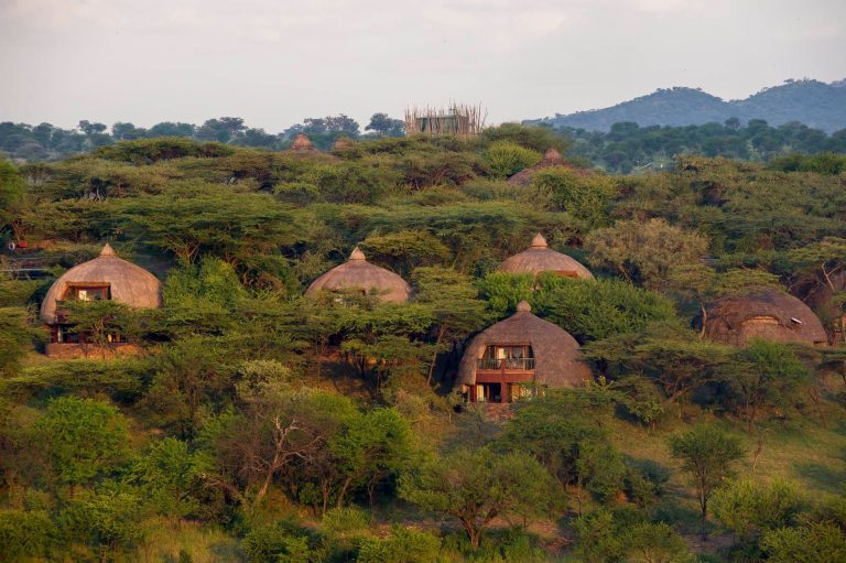 SERENGETI SERENA SAFARI LODGE