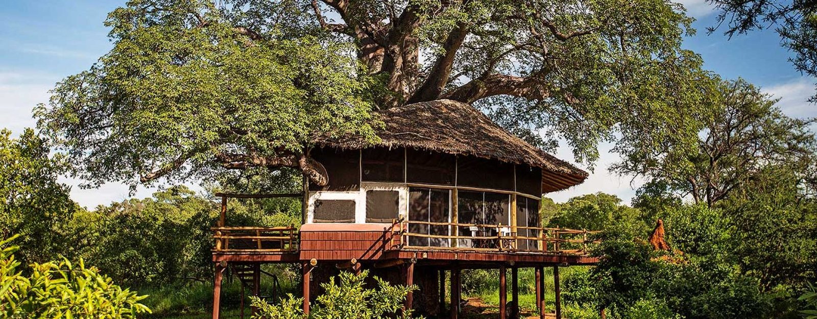 Tarangire-Treetops---accommodation---exterior-view-of-Treehouse-Suite