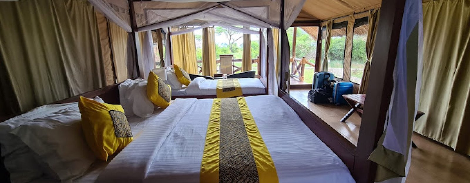simba lodge 6